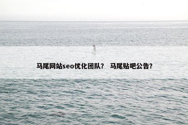 马尾网站seo优化团队？ 马尾贴吧公告？