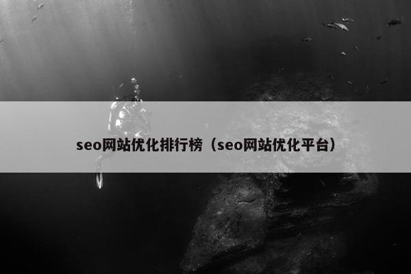 seo网站优化排行榜（seo网站优化平台）