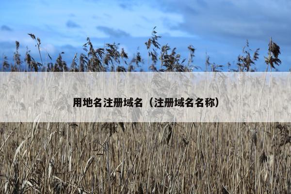 用地名注册域名（注册域名名称）