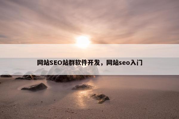网站SEO站群软件开发，网站seo入门