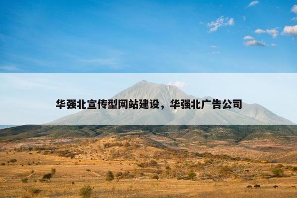 华强北宣传型网站建设，华强北广告公司