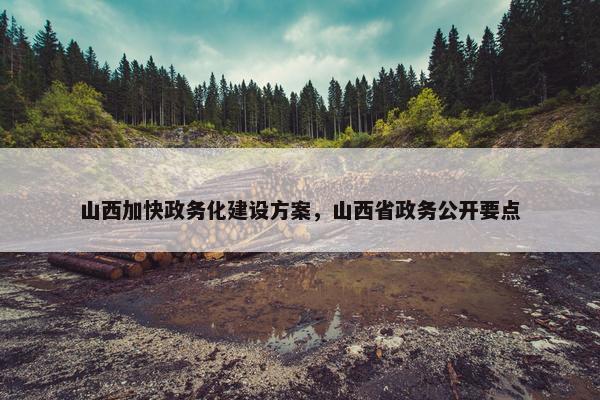 山西加快政务化建设方案，山西省政务公开要点