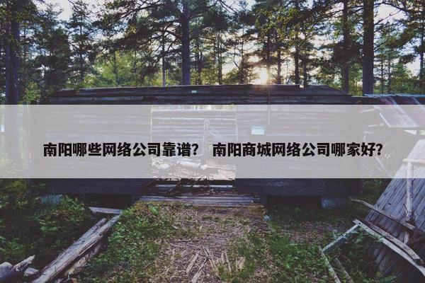 南阳哪些网络公司靠谱？ 南阳商城网络公司哪家好？