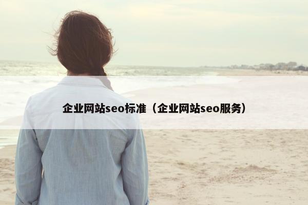 企业网站seo标准（企业网站seo服务）