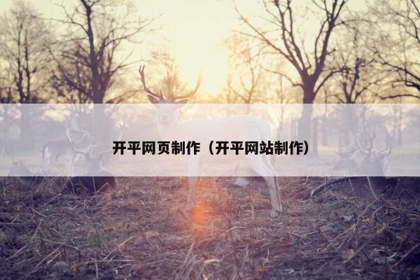 开平网页制作（开平网站制作）