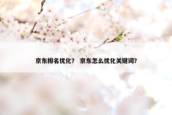 京东排名优化？ 京东怎么优化关键词？