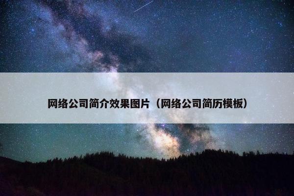 网络公司简介效果图片（网络公司简历模板）