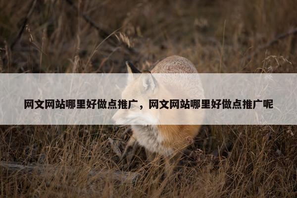 网文网站哪里好做点推广，网文网站哪里好做点推广呢