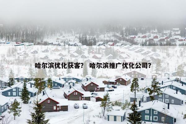哈尔滨优化获客？ 哈尔滨推广优化公司？