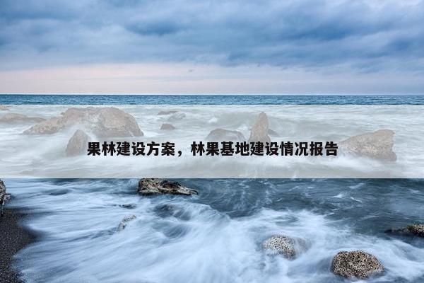 果林建设方案，林果基地建设情况报告
