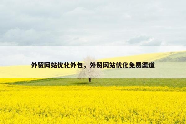 外贸网站优化外包，外贸网站优化免费渠道