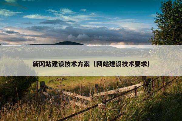 新网站建设技术方案（网站建设技术要求）