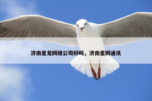 济南星龙网络公司好吗，济南星网通讯