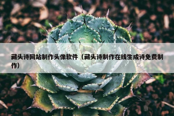 藏头诗网站制作头像软件（藏头诗制作在线生成诗免费制作）