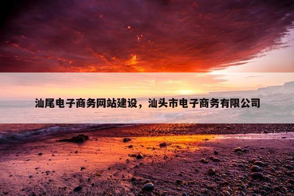 汕尾电子商务网站建设，汕头市电子商务有限公司