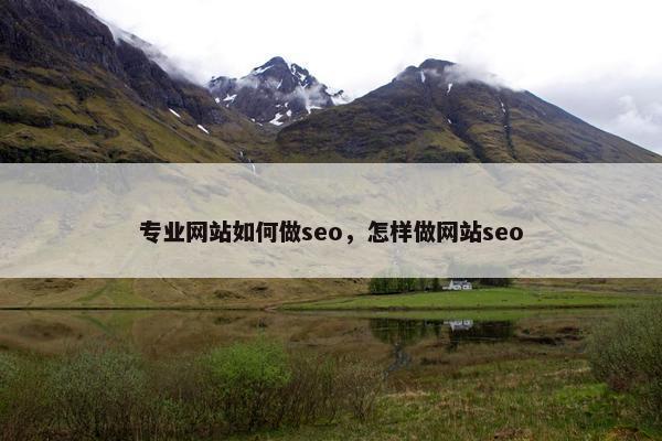专业网站如何做seo，怎样做网站seo