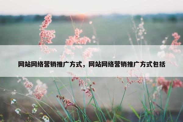 网站网络营销推广方式，网站网络营销推广方式包括