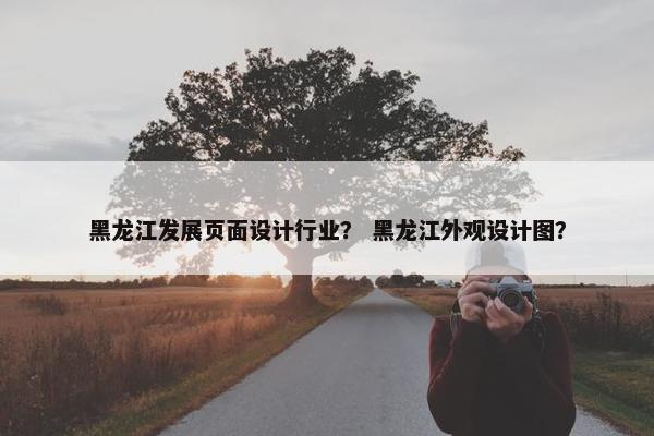 黑龙江发展页面设计行业？ 黑龙江外观设计图？