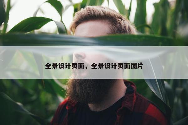 全景设计页面，全景设计页面图片