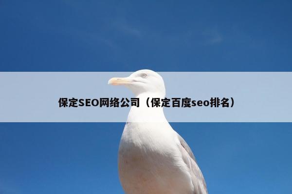 保定SEO网络公司（保定百度seo排名）