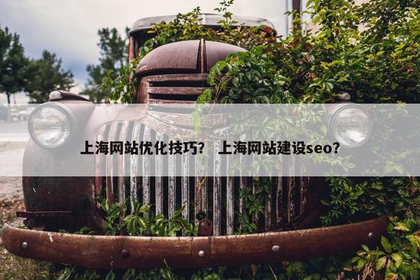 上海网站优化技巧？ 上海网站建设seo？