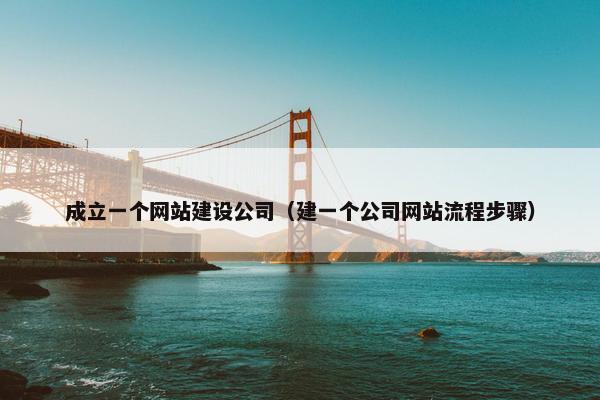 成立一个网站建设公司（建一个公司网站流程步骤）