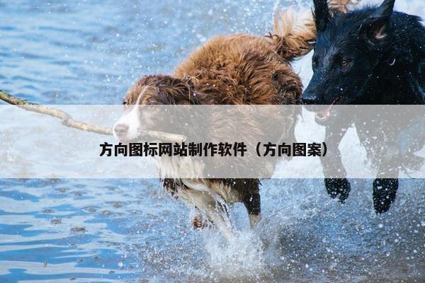 方向图标网站制作软件（方向图案）