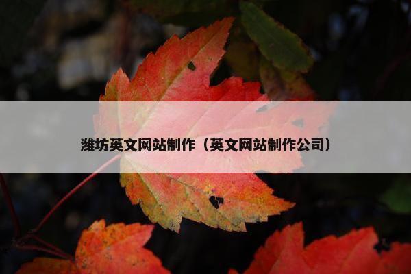 潍坊英文网站制作（英文网站制作公司）