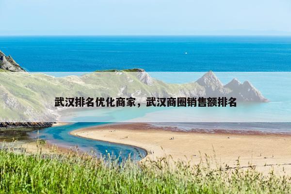 武汉排名优化商家，武汉商圈销售额排名