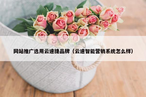 网站推广选用云速捷品牌（云速智能营销系统怎么样）