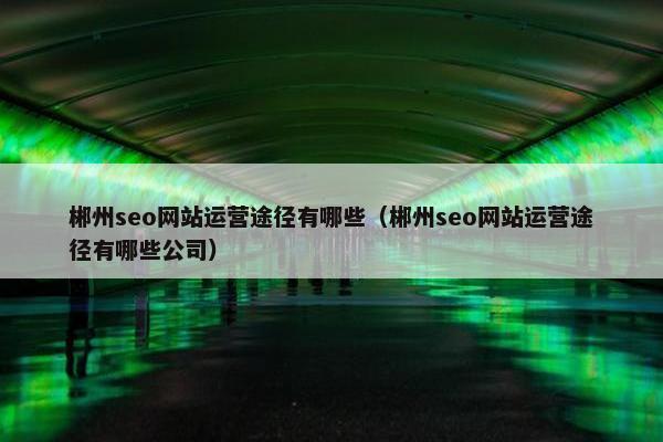郴州seo网站运营途径有哪些（郴州seo网站运营途径有哪些公司）