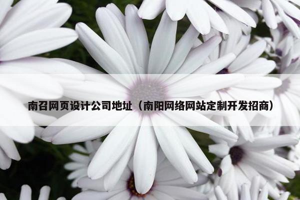 南召网页设计公司地址（南阳网络网站定制开发招商）