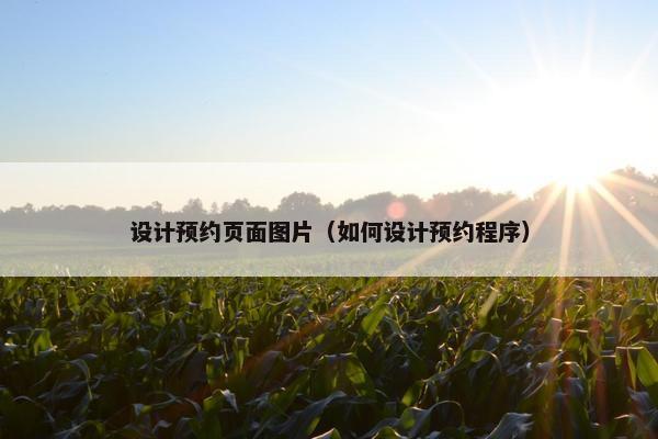 设计预约页面图片（如何设计预约程序）