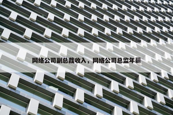 网络公司副总裁收入，网络公司总监年薪