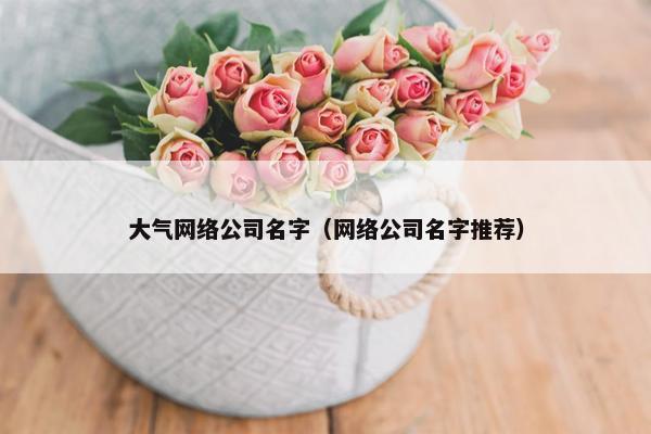 大气网络公司名字（网络公司名字推荐）