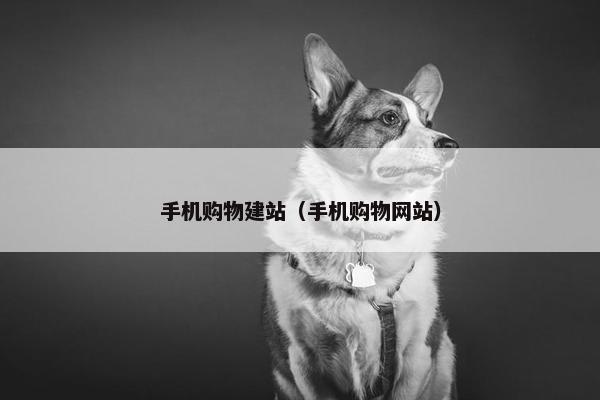 手机购物建站（手机购物网站）