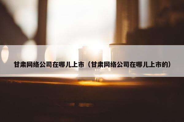 甘肃网络公司在哪儿上市（甘肃网络公司在哪儿上市的）