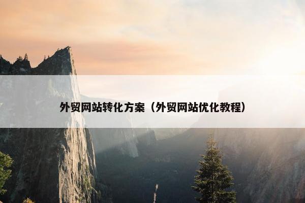外贸网站转化方案（外贸网站优化教程）