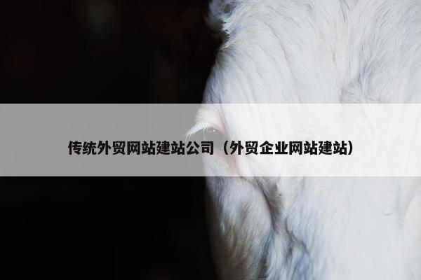 传统外贸网站建站公司（外贸企业网站建站）