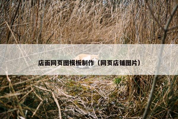 店面网页图模板制作（网页店铺图片）