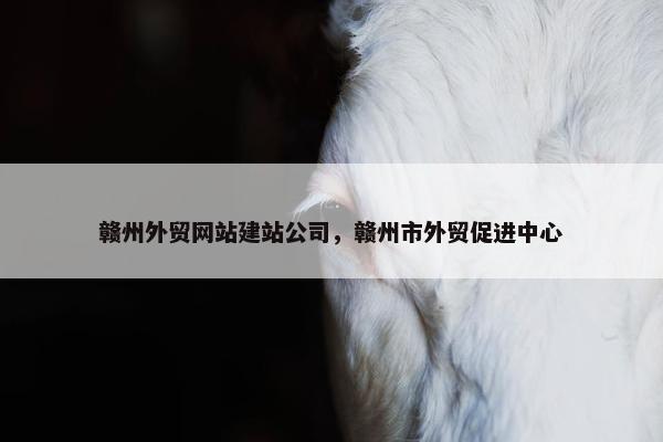 赣州外贸网站建站公司，赣州市外贸促进中心