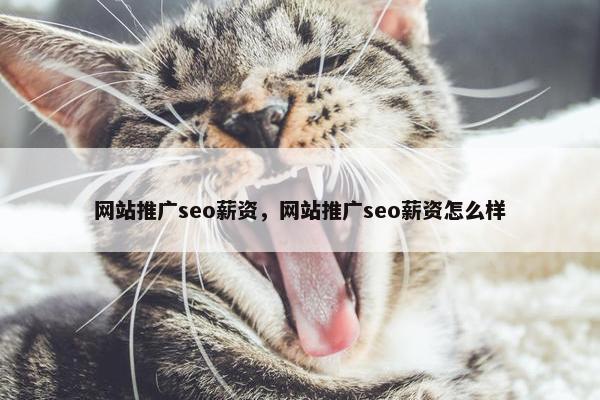 网站推广seo薪资，网站推广seo薪资怎么样
