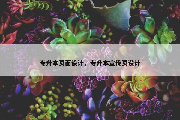 专升本页面设计，专升本宣传页设计