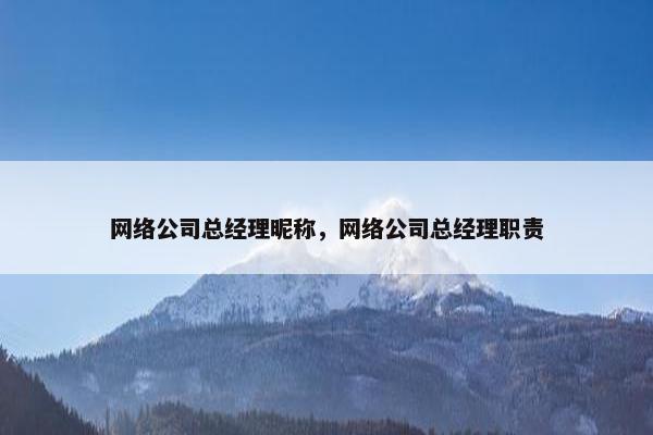 网络公司总经理昵称，网络公司总经理职责