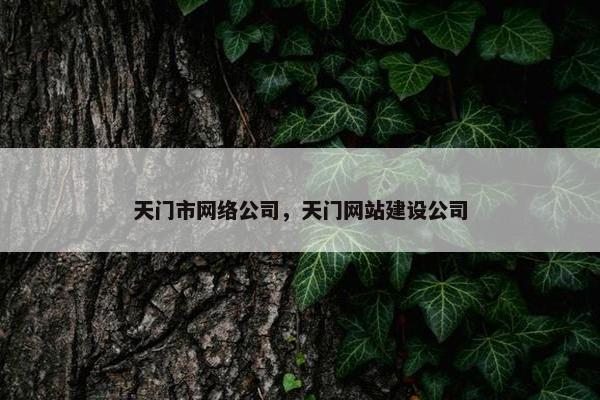 天门市网络公司，天门网站建设公司