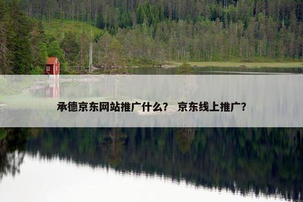 承德京东网站推广什么？ 京东线上推广？