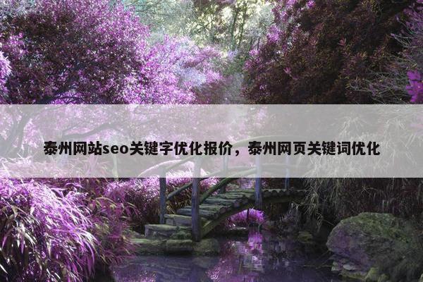 泰州网站seo关键字优化报价，泰州网页关键词优化