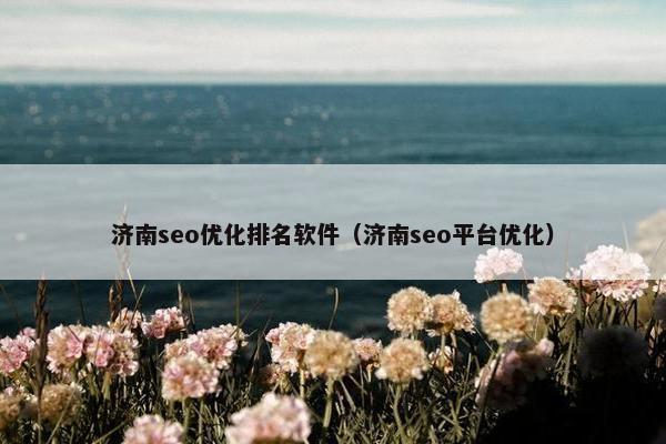 济南seo优化排名软件（济南seo平台优化）