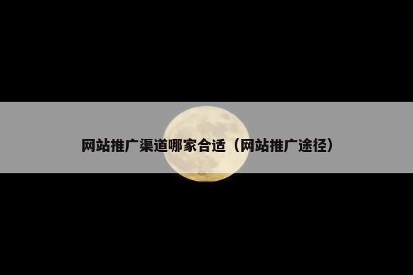 网站推广渠道哪家合适（网站推广途径）