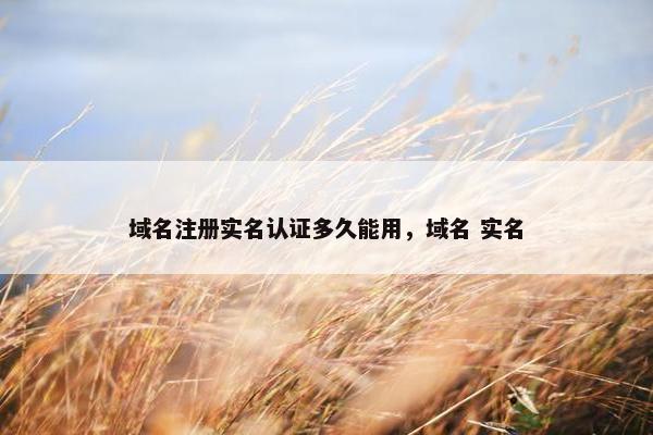 域名注册实名认证多久能用，域名 实名